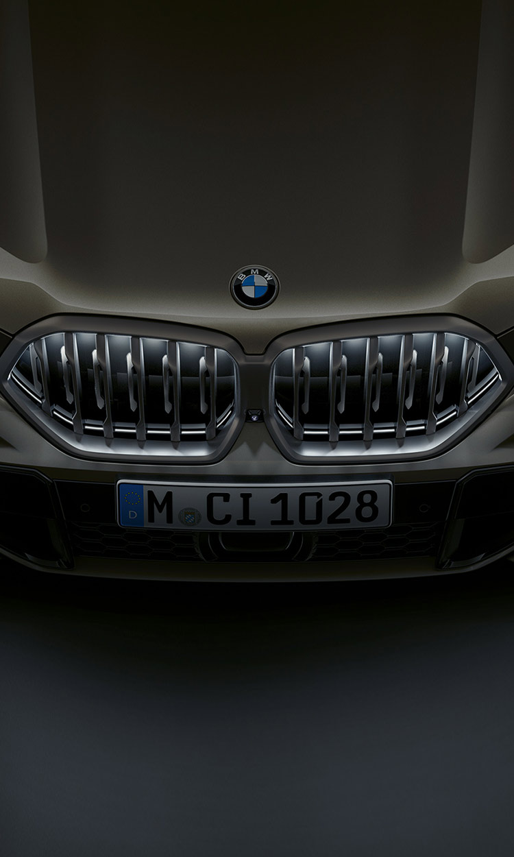 BMW Kidney Grille 'Iconic Glow'